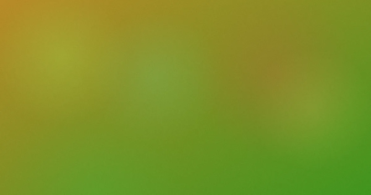 比安奇是什么：一篇说清